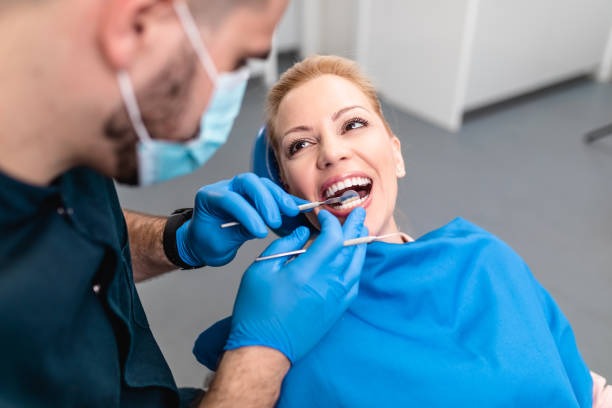 Professional Dental Services in Rapid City, MI